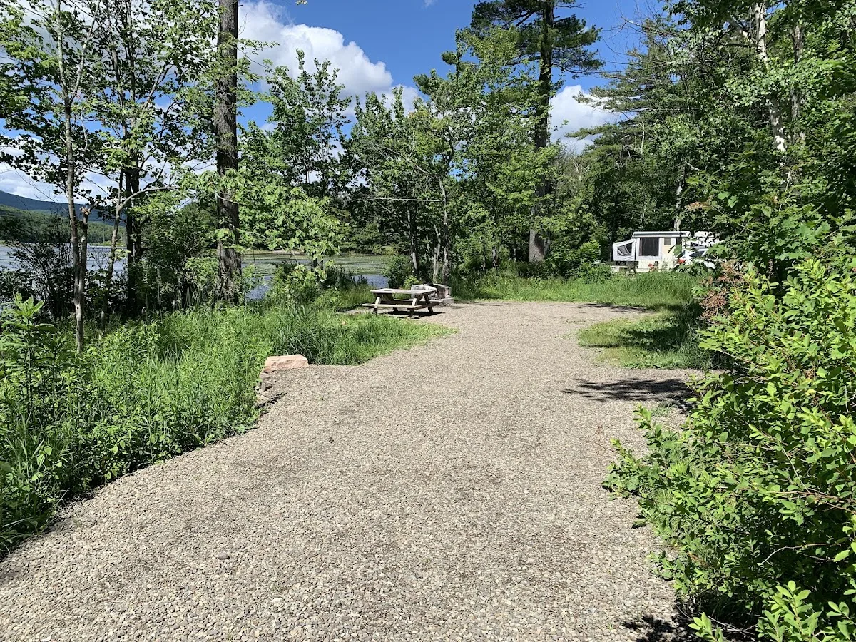 North/South Lake Campground - Campsite #145