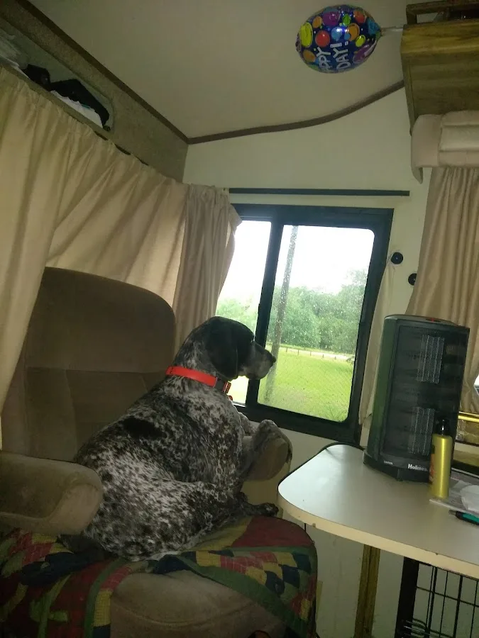 Ocala Forest Campground