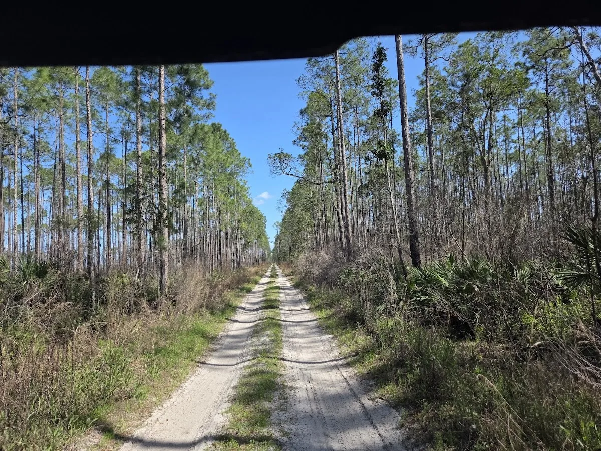 Ocala National Forest
