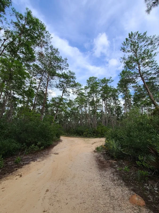 Ocala National Forest - Seminole Ranger Station