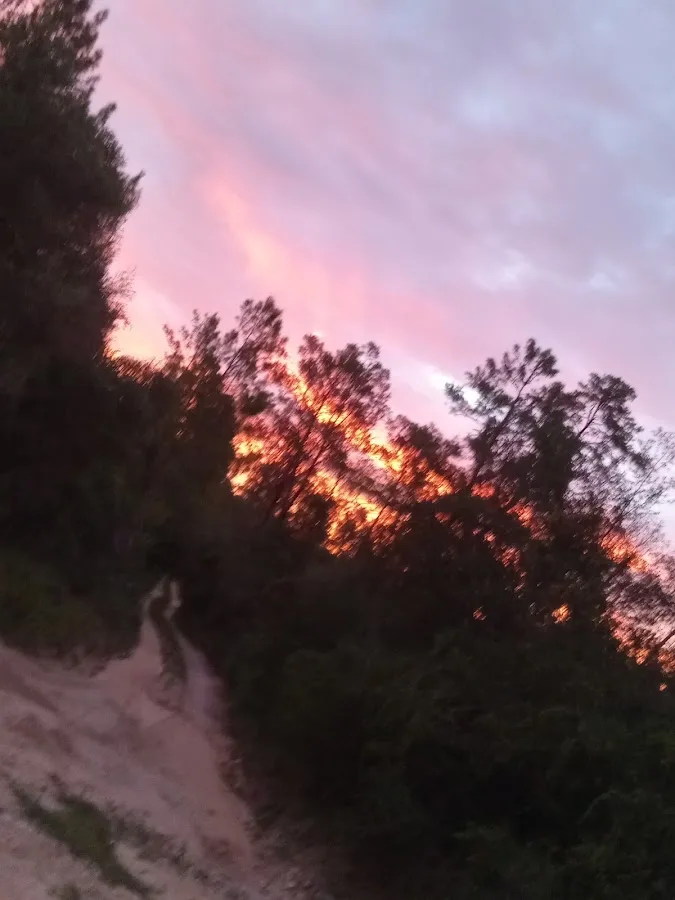 Ocala National Forest - Seminole Ranger Station