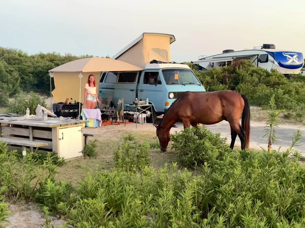Oceanside Drive-In Campground