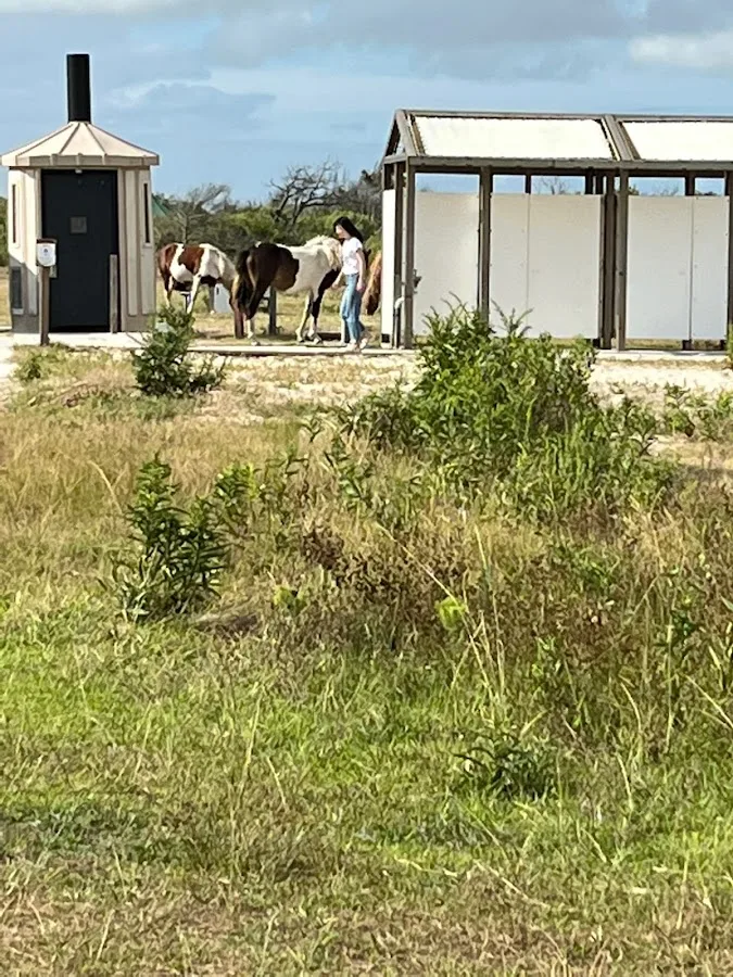 Oceanside Walk-In Campground