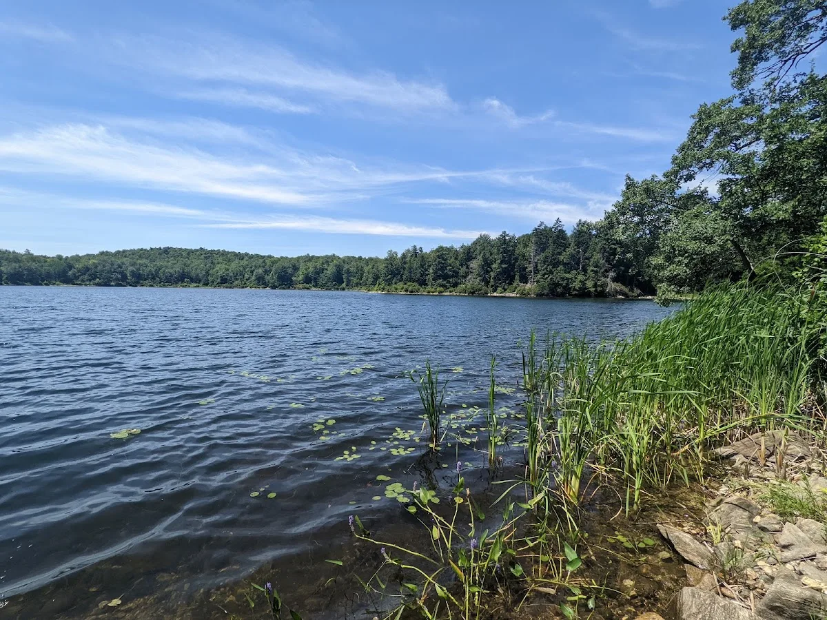 October Mountain State Forest