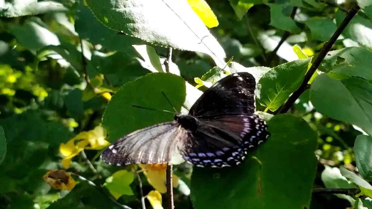 October Mountain State Forest