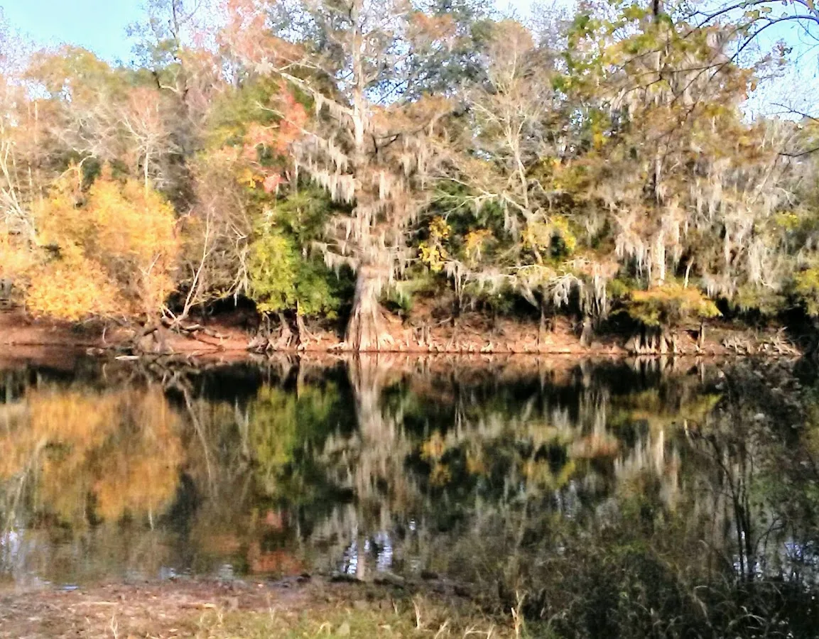 Ogeechee River Camping Club