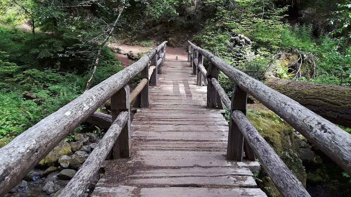 Ohanapecosh Campground