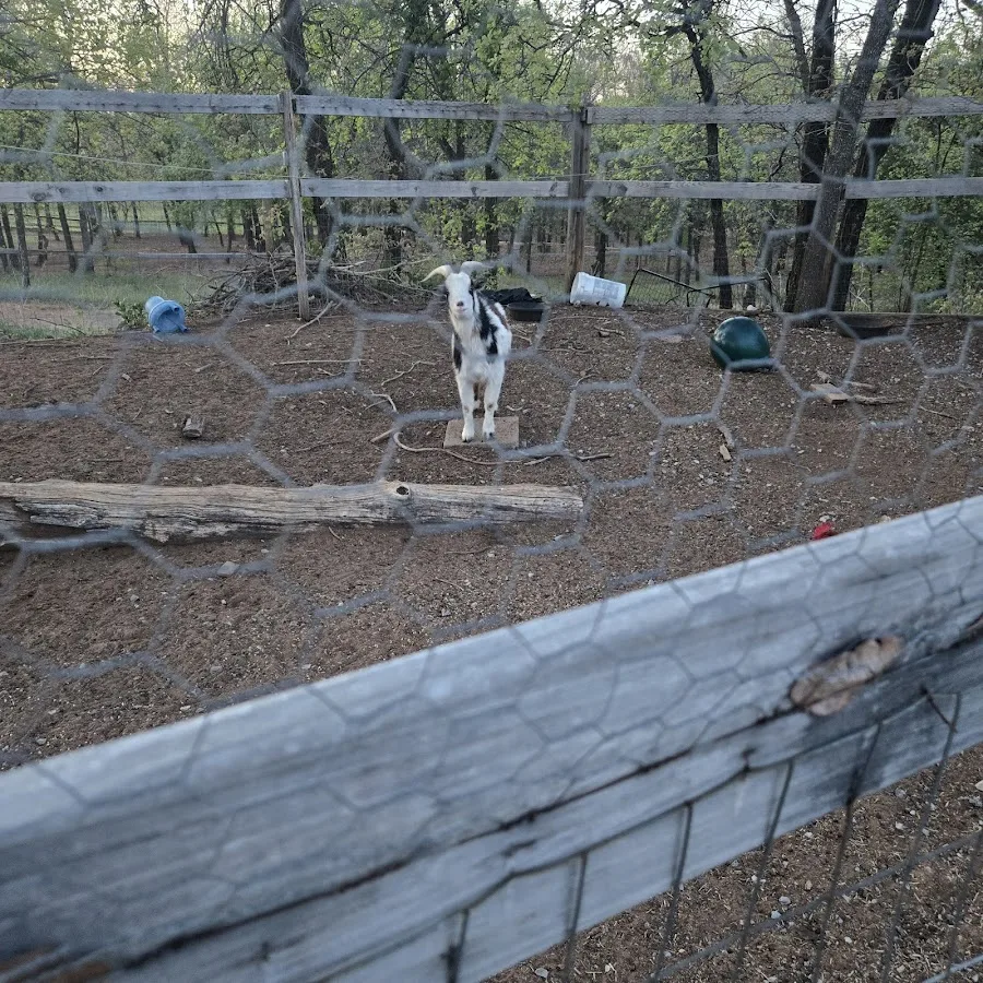 Oklahoma City East KOA Holiday