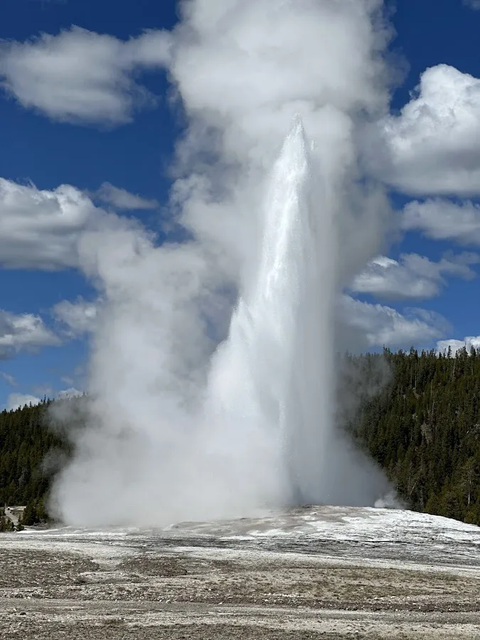 Old Faithful