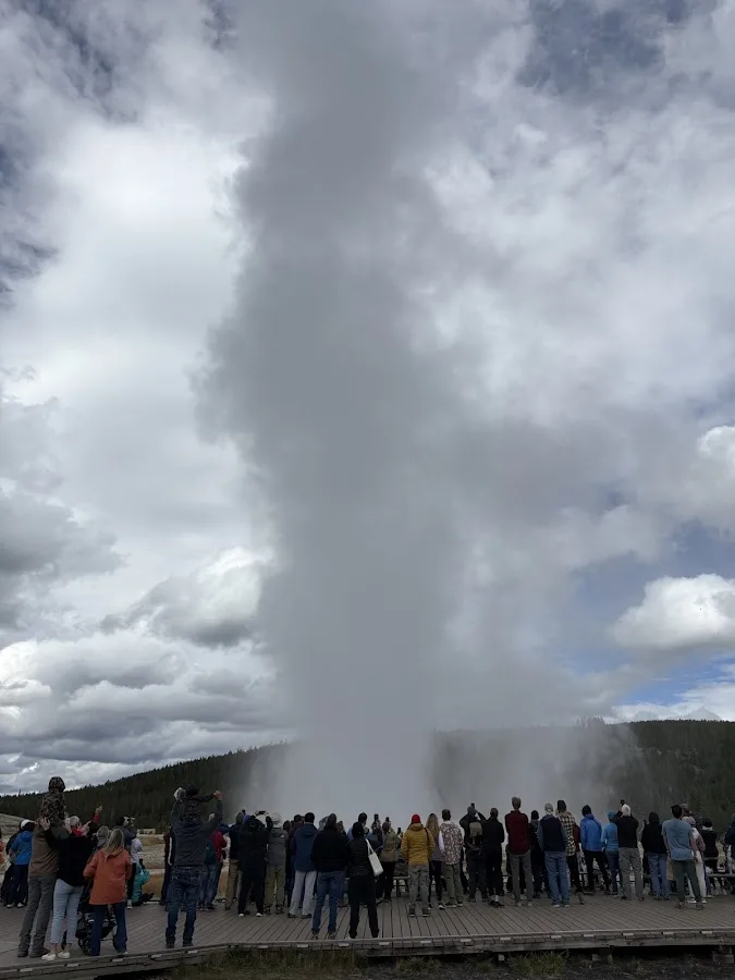 Old Faithful