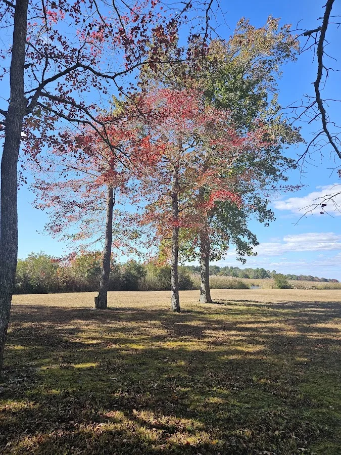 Old Stagecoach Campground