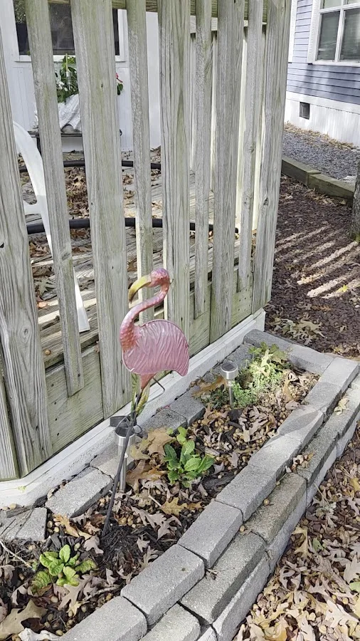 Old Stagecoach Campground