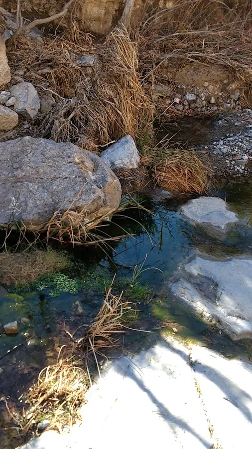 Oliver Lee Campground