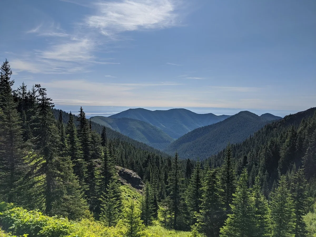 Olympic National Forest