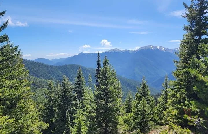 Olympic National Park