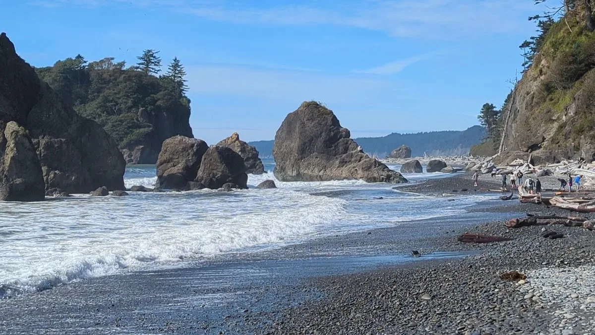 Olympic National Park