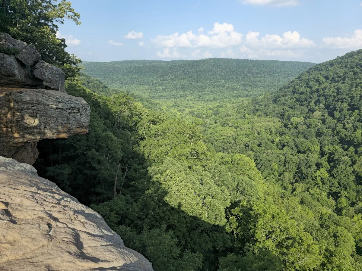 Ozark National Forest