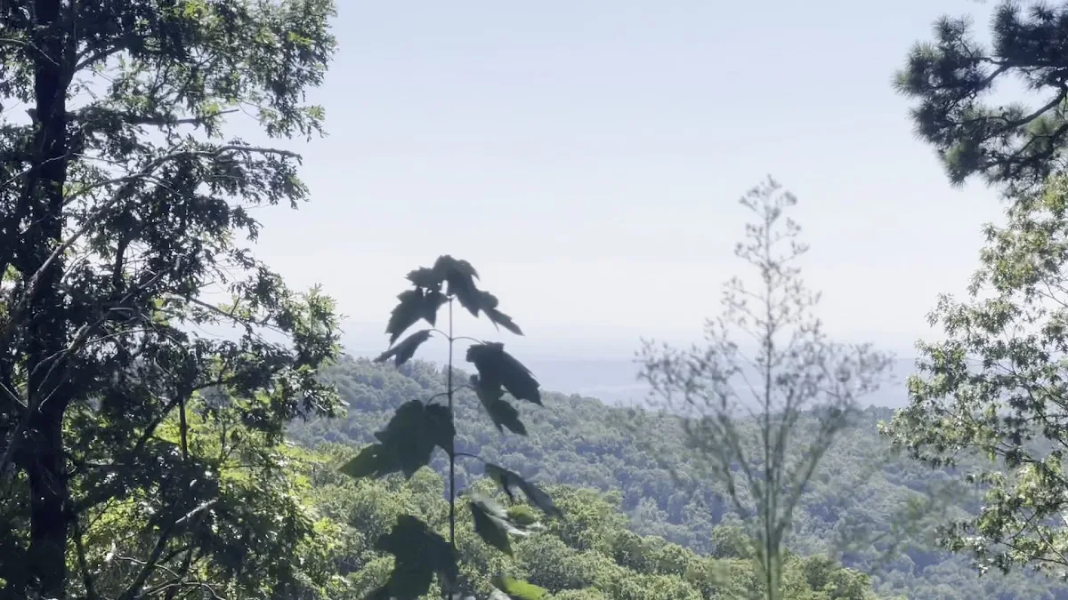 Ozark Ridge Campground and ATV Rentals