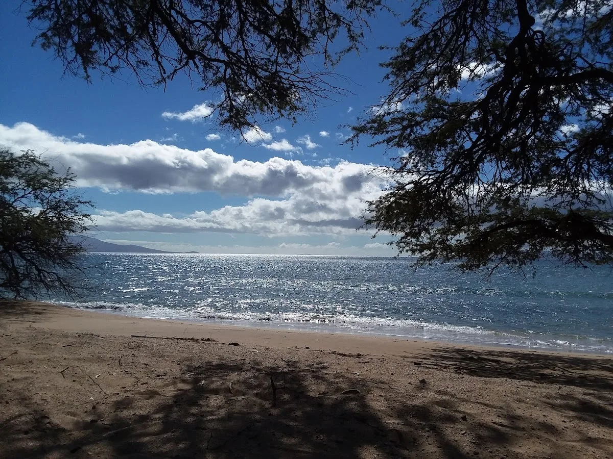 Pāpalaua State Wayside Park