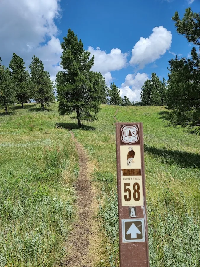 Pactola Reservoir Campground
