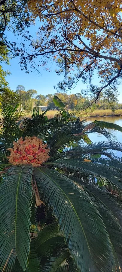 Paradise Citi Campground