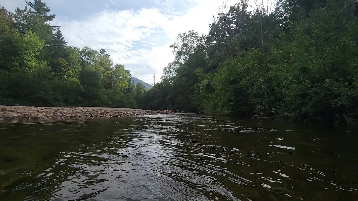 Passaconaway Campground