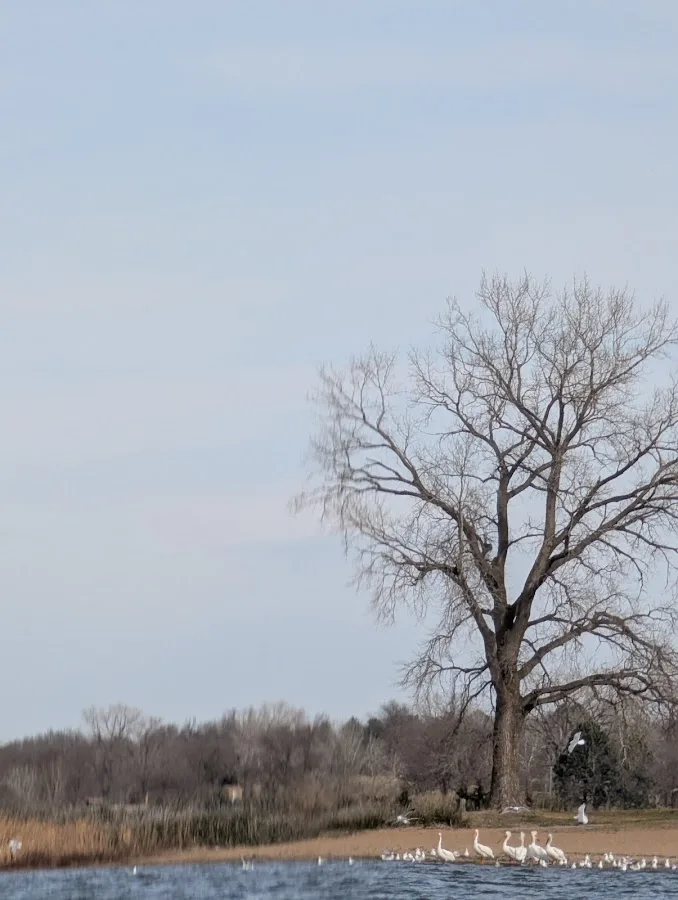 Pawnee State Recreation Area