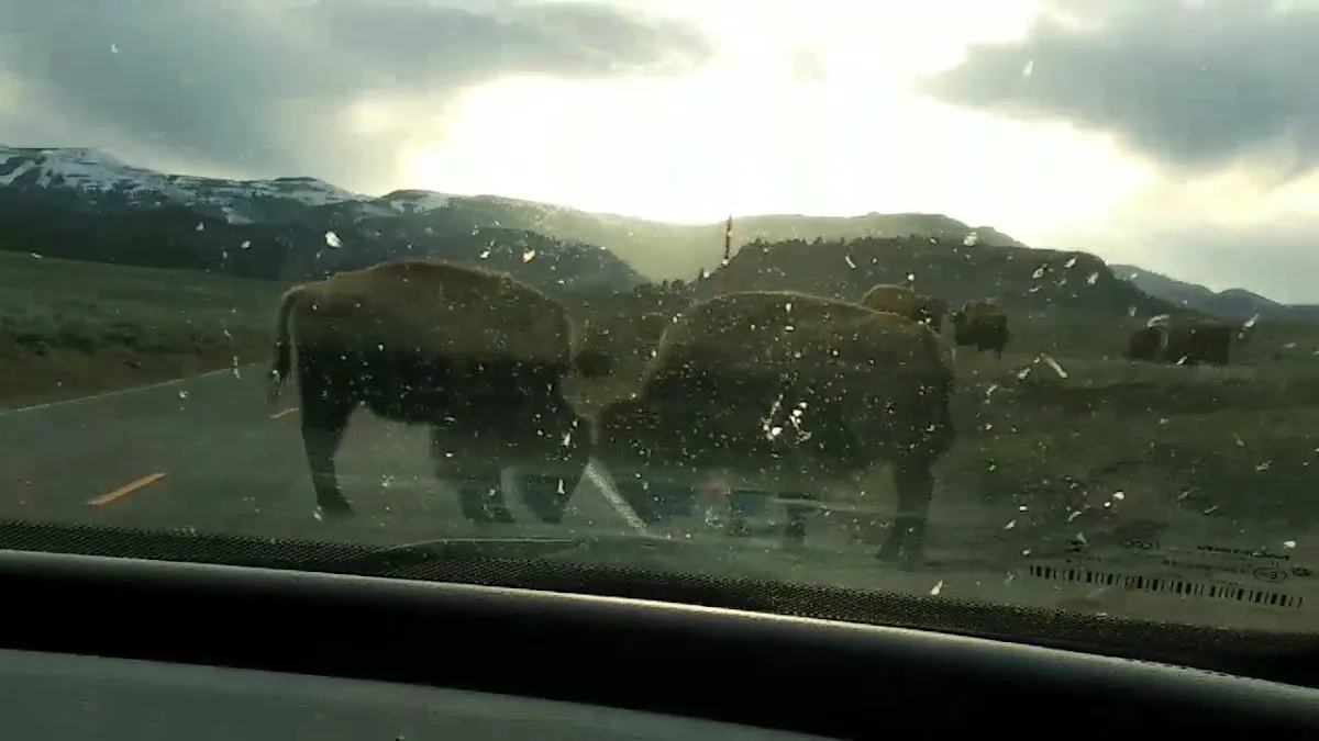 Pebble Creek Campground