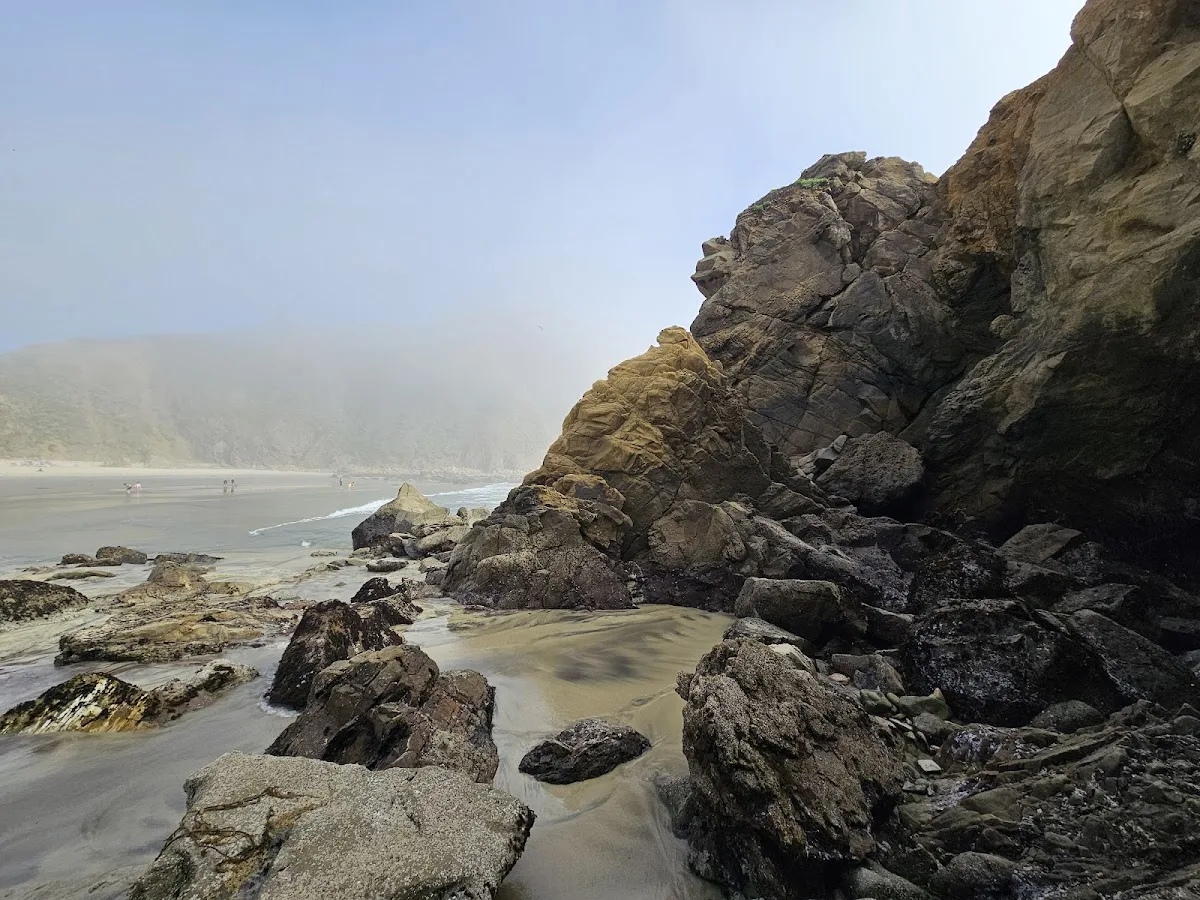 Pfeiffer Big Sur State Park