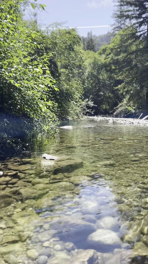 Pfeiffer Big Sur State Park Campground