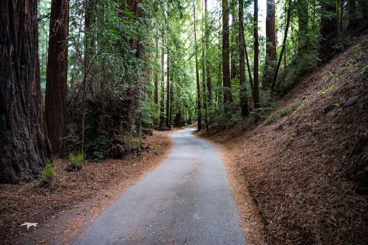 Pfeiffer Big Sur State Park Main Camp