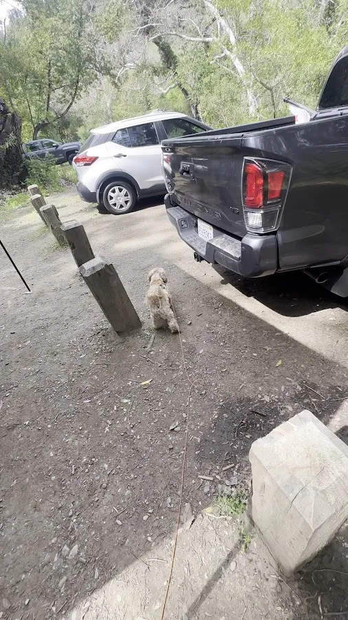 Pfeiffer Big Sur State Park Main Camp