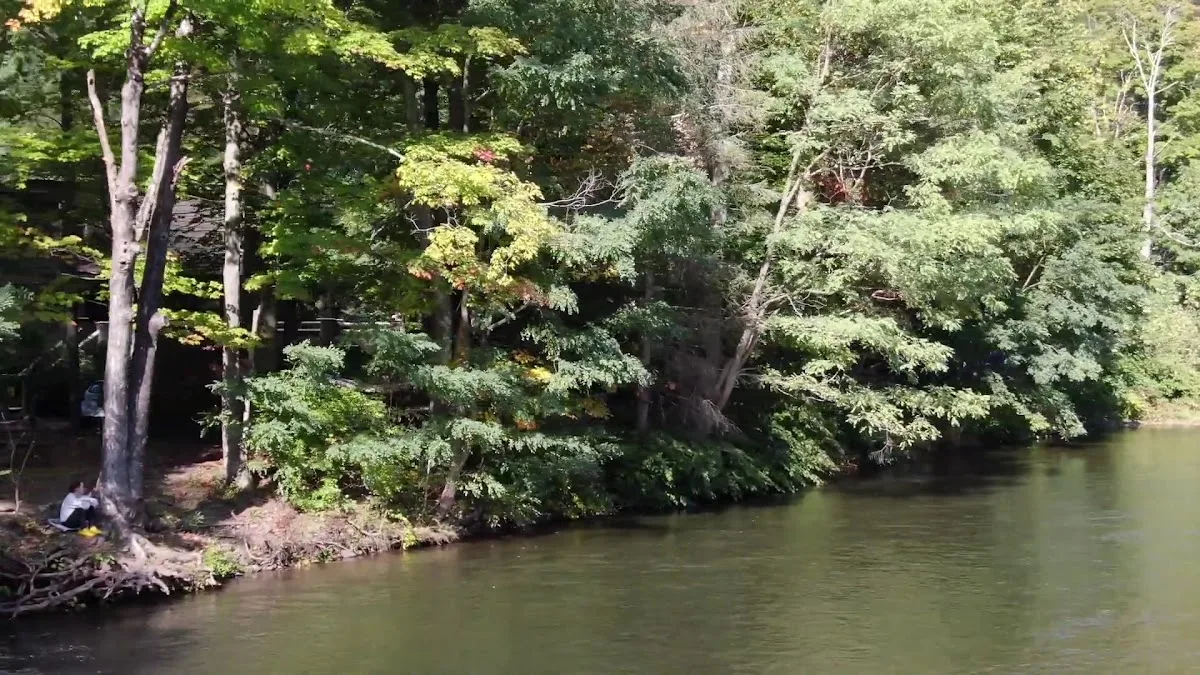 Phoenicia Black Bear Campground