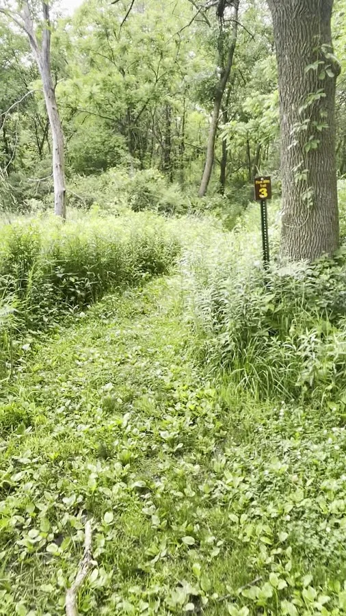 Pilot Knob Campground