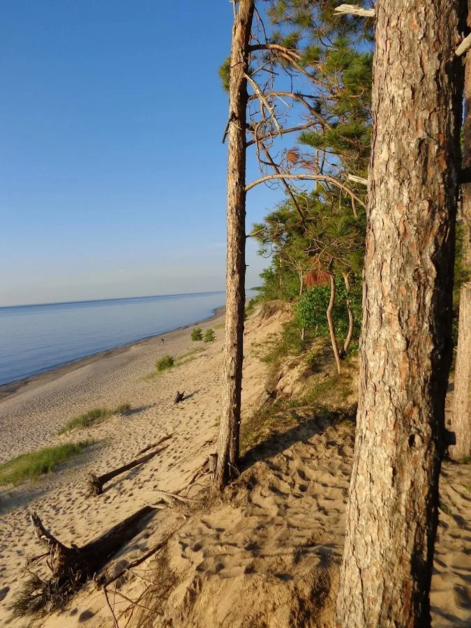 Pine Bluff Campground