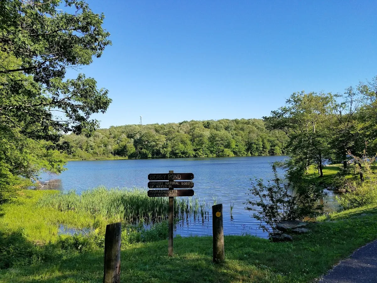 Pittsfield State Forest