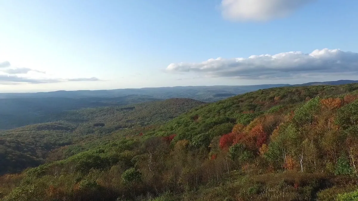 Pittsfield State Forest