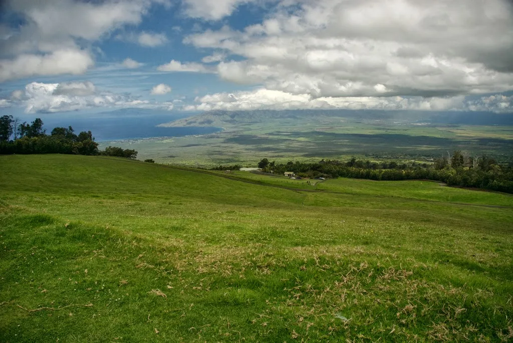 Polipoli Spring State Recreation Area