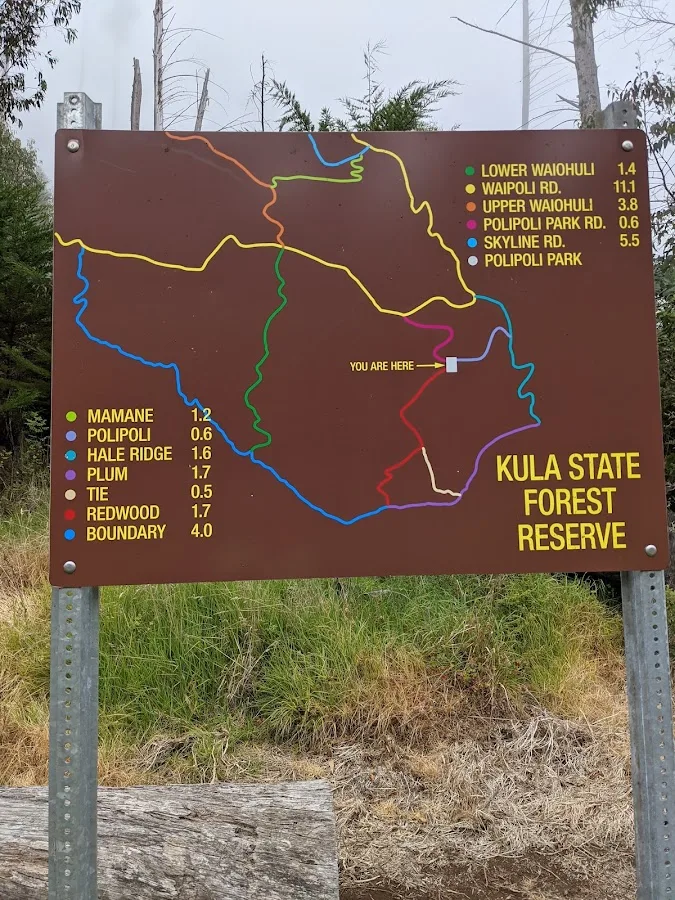 Polipoli Spring State Recreation Area