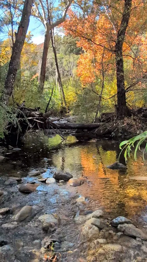 Ponderosa Campground