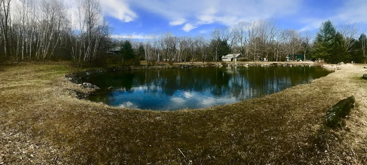 Ponderosa Pine Campground
