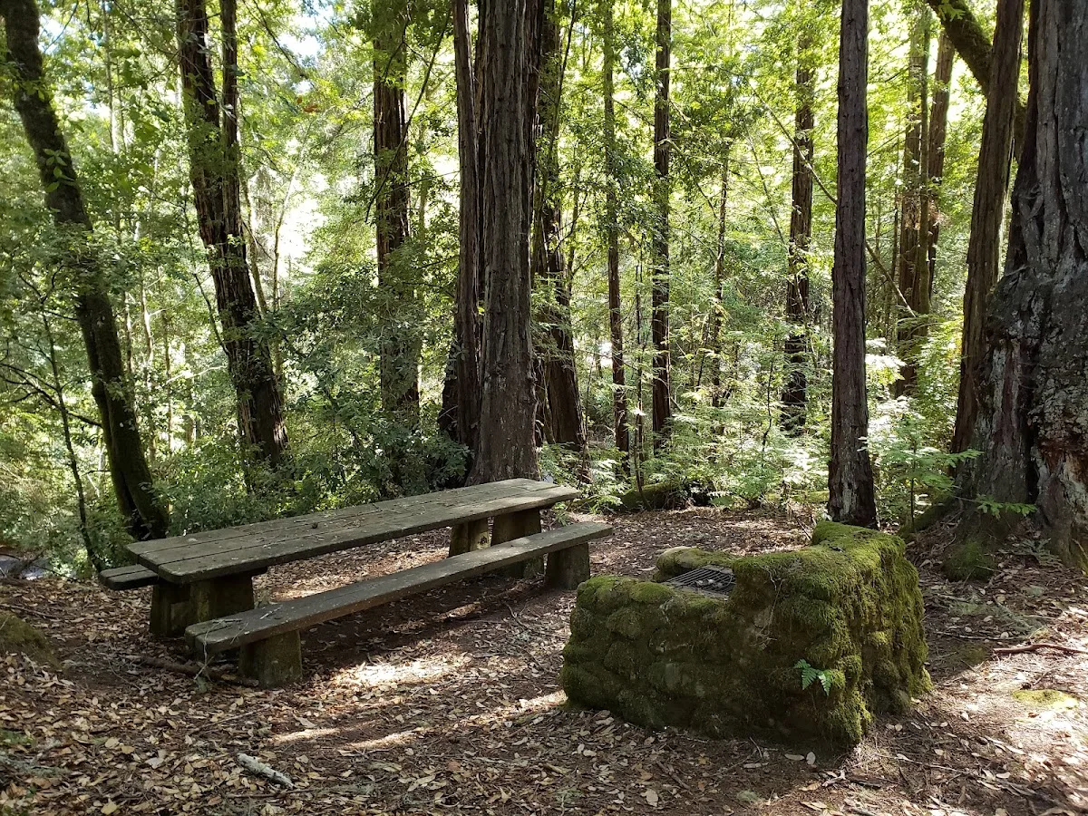 Portola Redwoods State Park