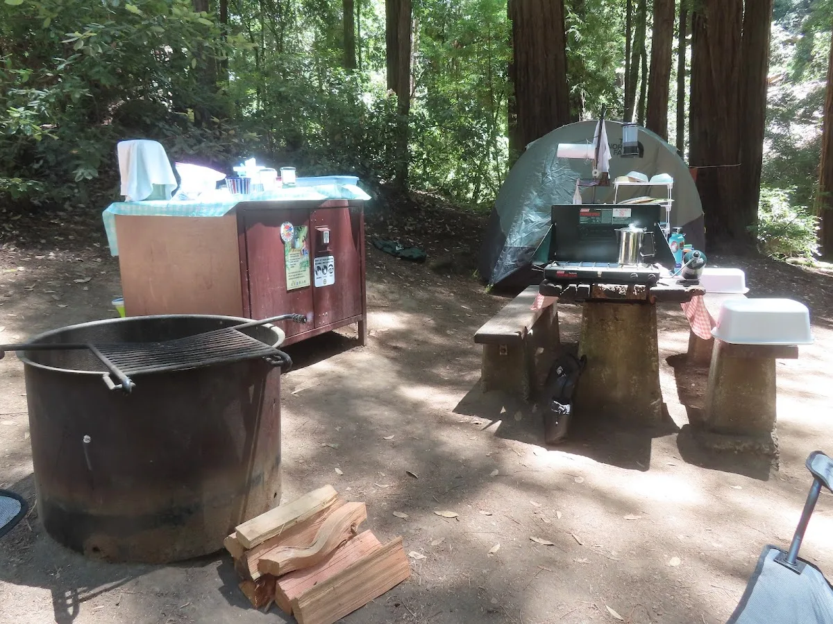 Portola Redwoods State Park Campground