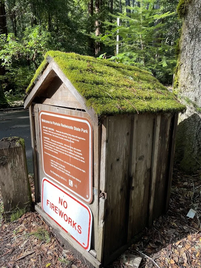 Portola Redwoods State Park Campground