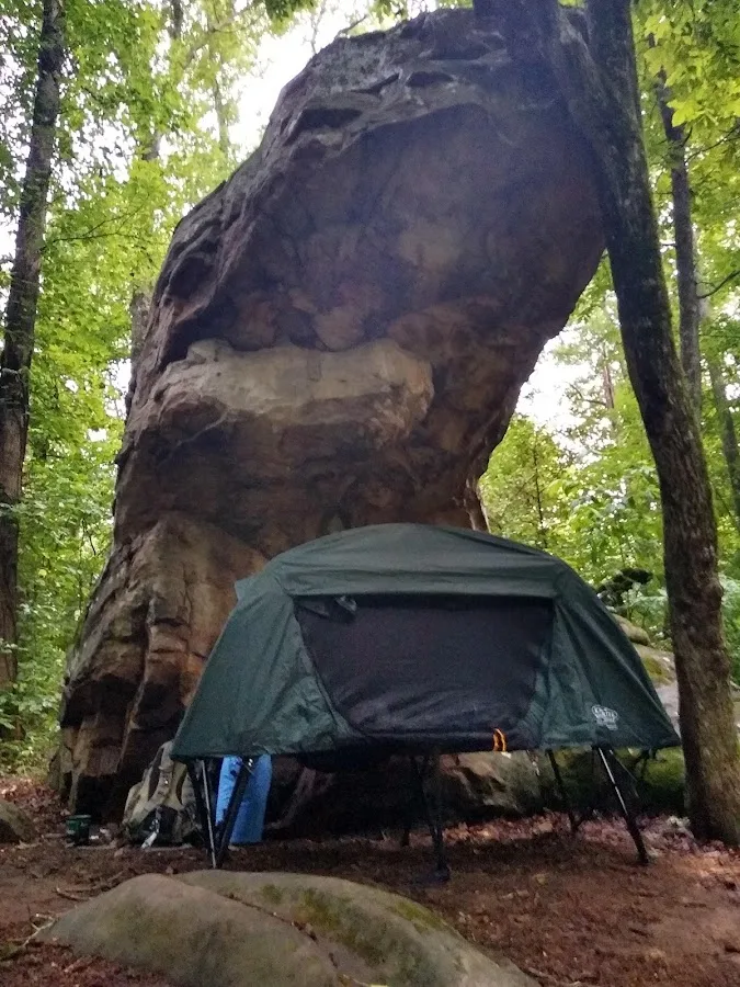 Prentice Cooper Primitive Campsite