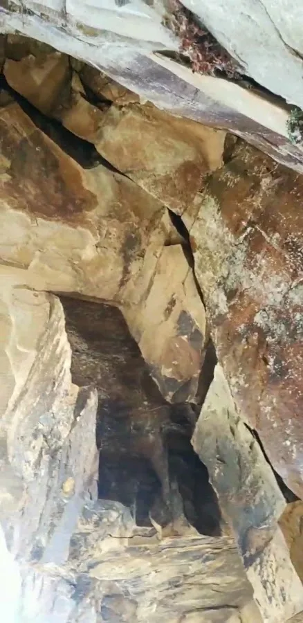 Prentice Cooper Primitive Campsite