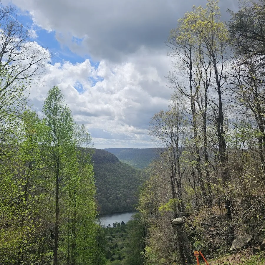 Prentice Cooper State Forest Trailhead parking