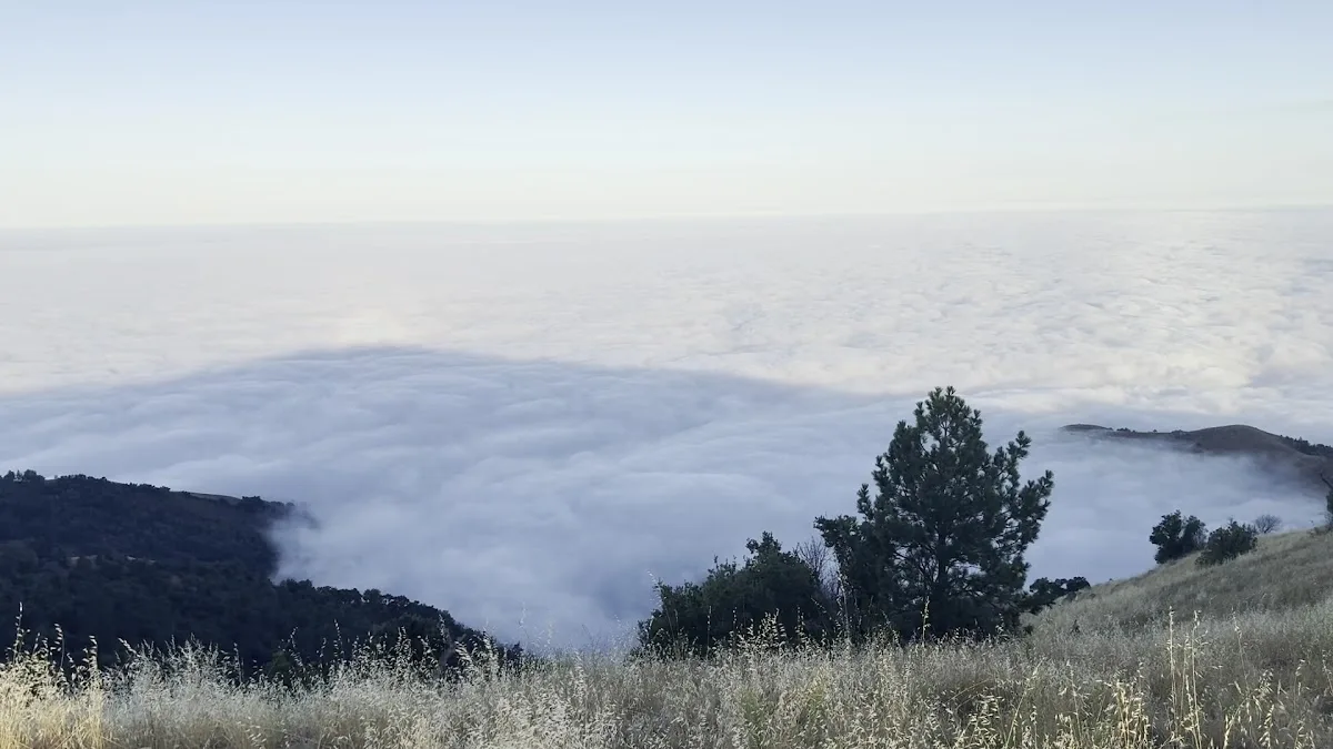 Prewitt Ridge Campground