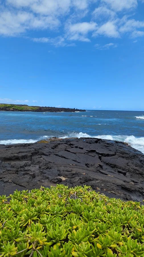Punaluu Black Sand Beach Camping