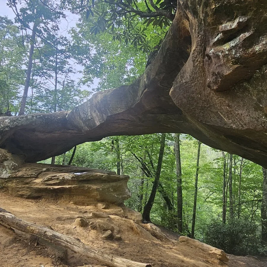 Red River Gorge Geological Area